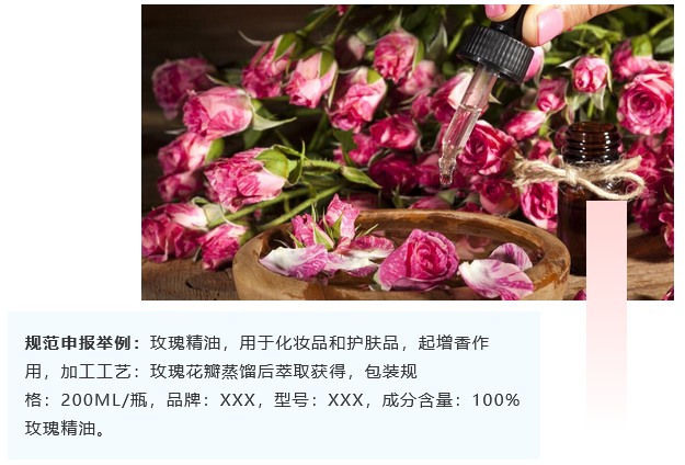 <a href='http://www.proclean-ireland.com' title='危險(xiǎn)品海運(yùn)' >危險(xiǎn)品海運(yùn)</a>
