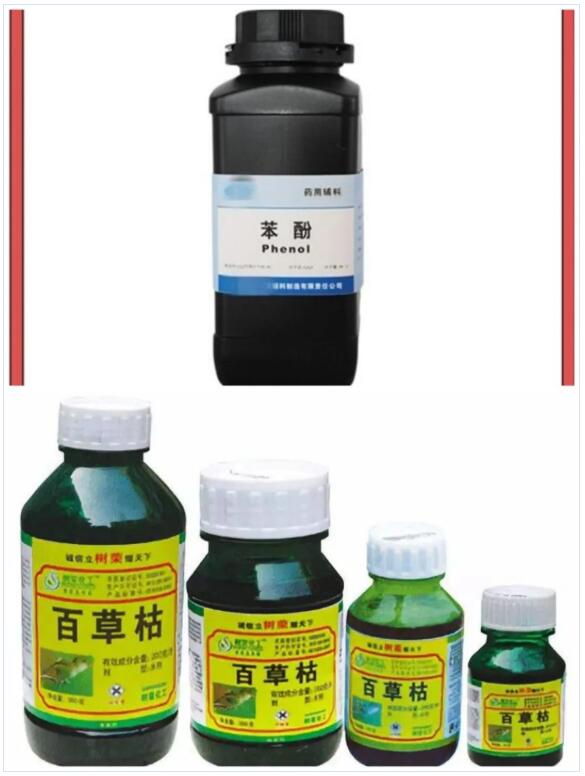 <a href='http://www.proclean-ireland.com' title='國際貨運代理' >國際貨運代理</a>